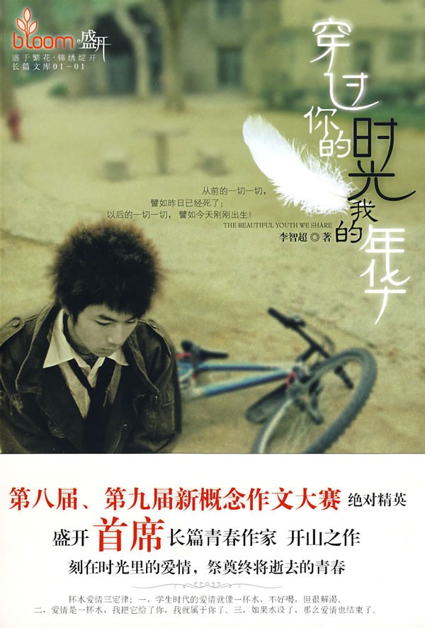 穿过你的时光我的年华